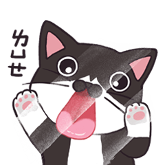 [LINEスタンプ] Meet Ha-jiang, a black and white cat