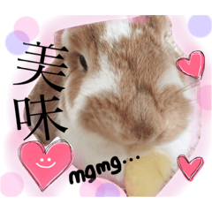 [LINEスタンプ] 癒しうさぎのココさん。