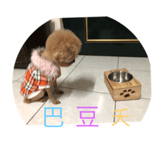 [LINEスタンプ] Baby puppy