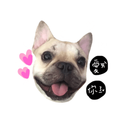 [LINEスタンプ] French bulldog A-G