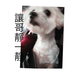 [LINEスタンプ] my Honey dog