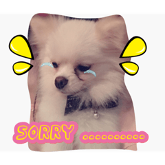 [LINEスタンプ] Cute ＆ Lovely Doggie ~ Cream BB part 2