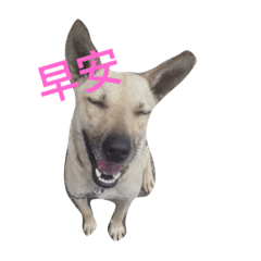 [LINEスタンプ] Lin's dogs