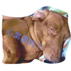 [LINEスタンプ] fat dog daily