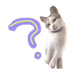 [LINEスタンプ] 猫のメルときなこ