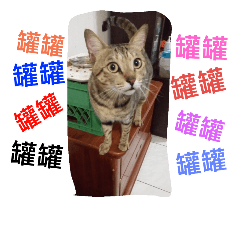 [LINEスタンプ] cat-BanBan