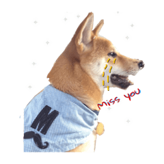 [LINEスタンプ] Mamoru the amazing dog