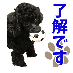 [LINEスタンプ] 黒プードル子犬のアンジュ