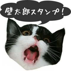 [LINEスタンプ] 壁太郎スタンプ