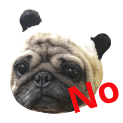 [LINEスタンプ] Pug Bear