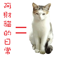 [LINEスタンプ] Daily life of a group of catsの画像（メイン）