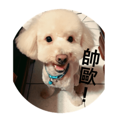 [LINEスタンプ] dog Cola 1