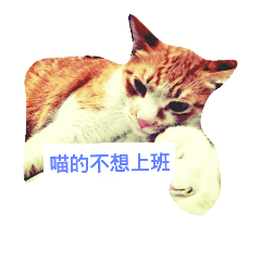 [LINEスタンプ] The cat doesn't want to work