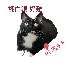 [LINEスタンプ] BLack cat is my baby