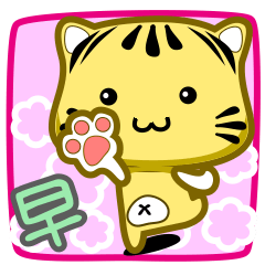 [LINEスタンプ] Cute striped cat. CAT43