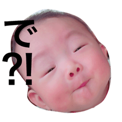 [LINEスタンプ] かいかいぴ