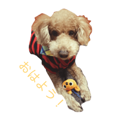 [LINEスタンプ] くりを＆にゃん太