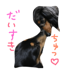 [LINEスタンプ] 犬ときどき猫。亀