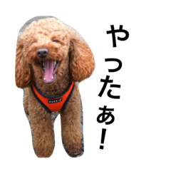 [LINEスタンプ] らいす①