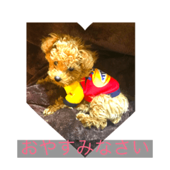 [LINEスタンプ] Nonnodog