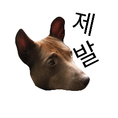 [LINEスタンプ] dogpabo