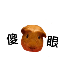 [LINEスタンプ] AD guinea pig