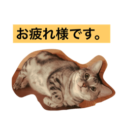 [LINEスタンプ] ベルの一日