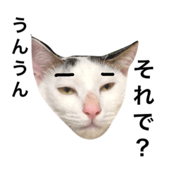 [LINEスタンプ] 適当に生きる動物たち