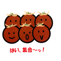 [LINEスタンプ] たこやきの気持ち