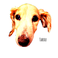 [LINEスタンプ] dog-tarou.