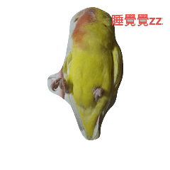 [LINEスタンプ] Grey Wool with Little Yellow Parrot