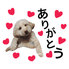 [LINEスタンプ] puchanxx