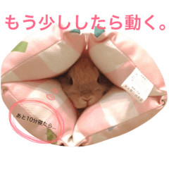 [LINEスタンプ] うさぎのこまち(・x・U)