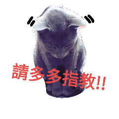 [LINEスタンプ] BLUE  LU CAT