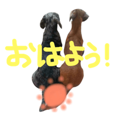 [LINEスタンプ] りんごともも